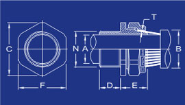 Cable Glands