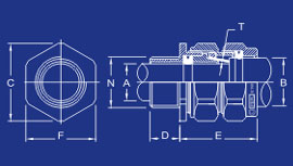 Cable Glands